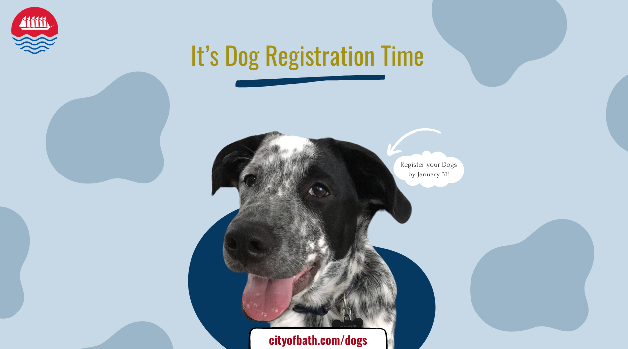 https://www.cityofbathmaine.gov/media/DesignFiles/Dog%20Web%20Header.png